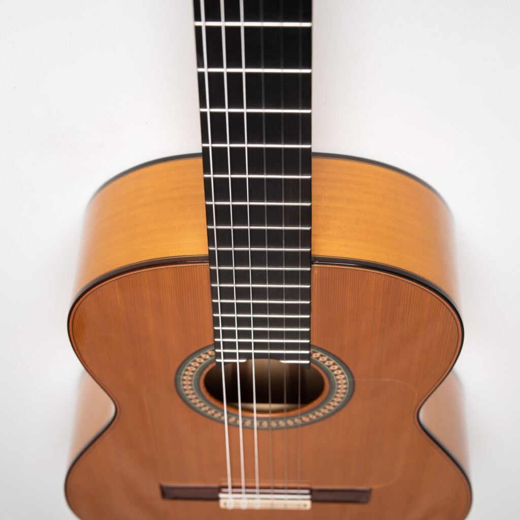 Guitarra Especial (Ciprés/Cedro)