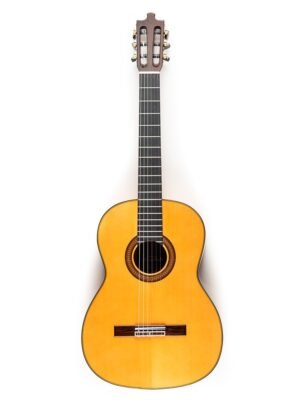 Image of Guitarra especial 10 del (1)