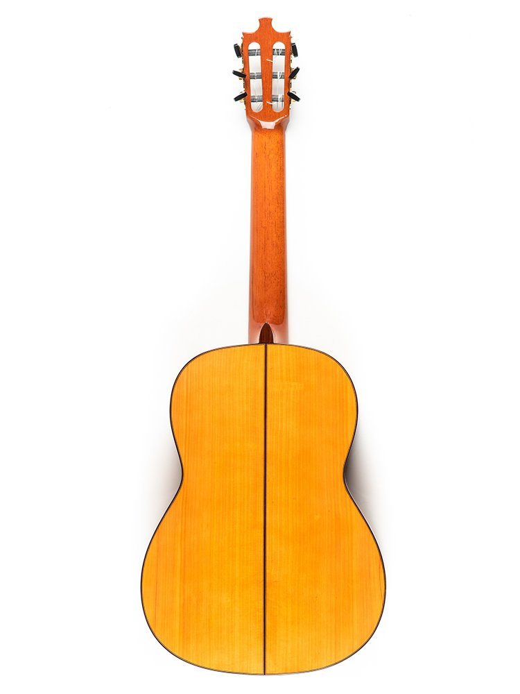 Image of Guitarra especial 10 tras (1)