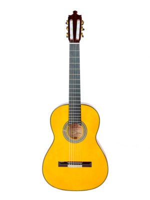 Imagen de nuestra guitarra flamenca pro fl