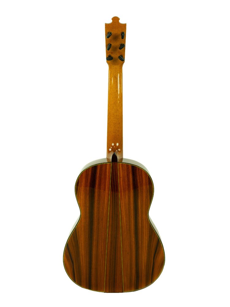 Imagen de nuestra guitarra Luthier paoferro