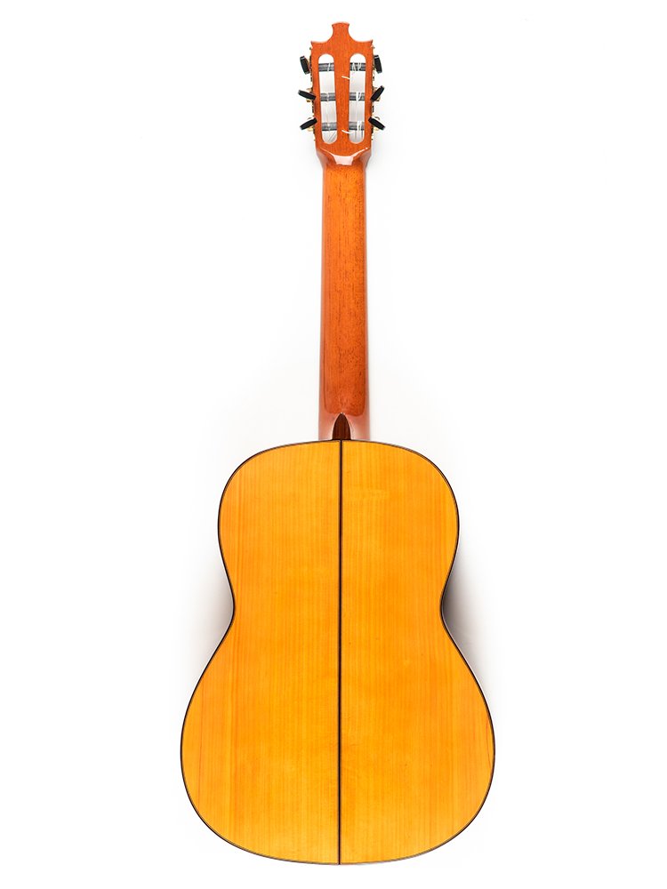 Image of Guitarra especial 10 tras